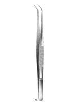 Delicate Dissecting Forceps